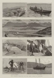 De Visserijindustrie aan de Westkust van Ierland